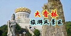 jj日逼网站中国浙江-绍兴大香林旅游风景区